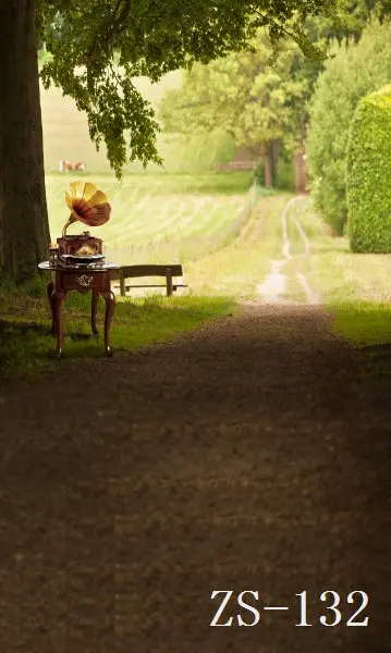 

3*5M Art Cloth Custom Photography Backdrops Prop Indoor and Outdoor Studio Background ZS-132