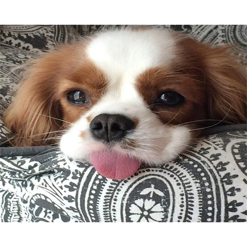 

DIY Digital Painting By Numbers dog oil painting mural Kits Coloring Wall Art Picture Gift frameless