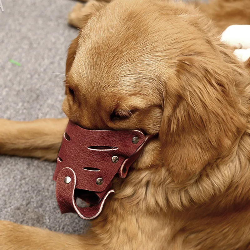 Breathable Dog Mouth Set Anti Bite Muzzle Mask Adjustable Dog Muzzle