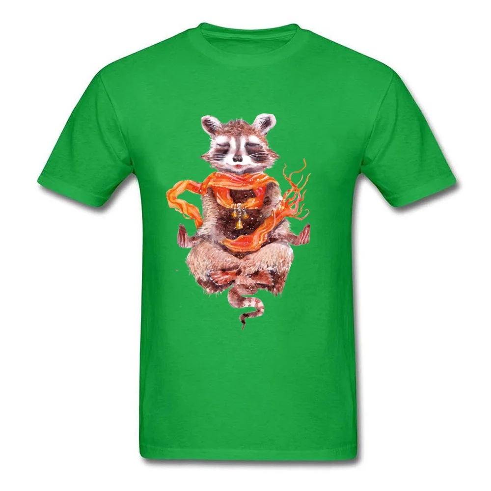 Raccoon meditates (female)_green