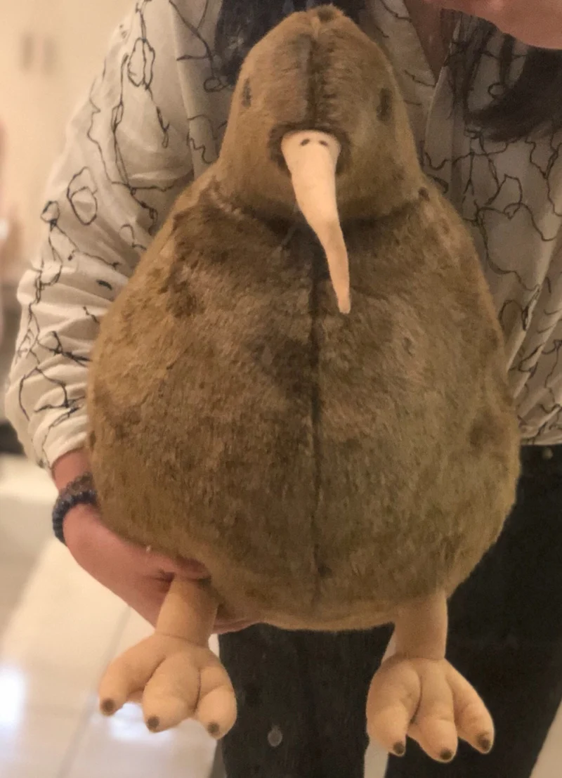 Big Simulation KIWI Bird Doll Animal Kiwi Bird Plush Toys Realistic Animals Plush Toys Gifts Deco 20inch 50cm DY50603(3)