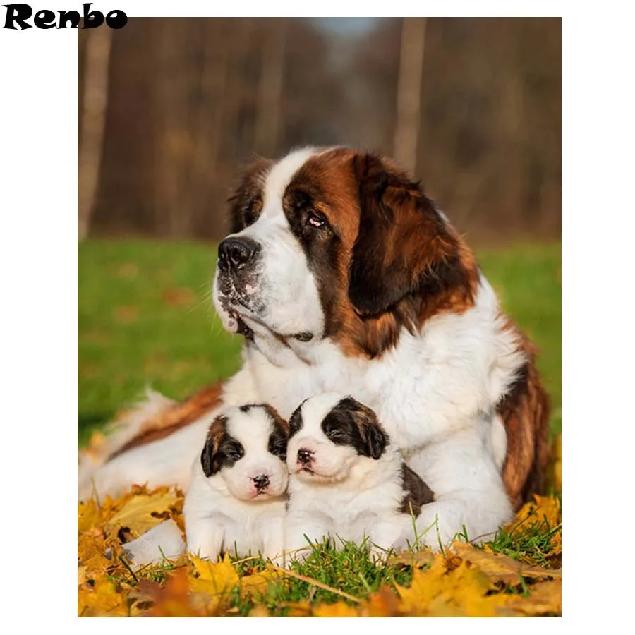 

Full Drill Square 5D DIY Diamond Painting Saint Bernard Dog pet Diamond Embroidery Cross Stitch Mosaic Rhinestone wall sticker