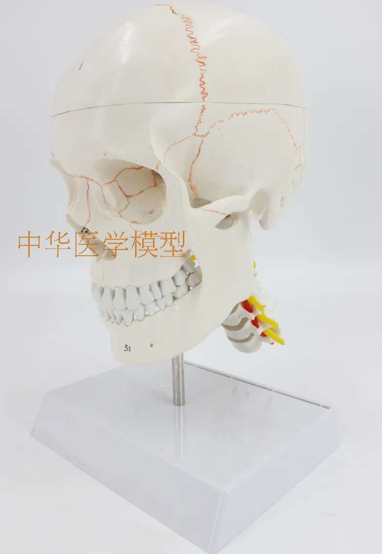 //img.alicdn.com/imgextra/i2/403496940/TB2owW5aHxmpuFjSZJiXXXauVXa_!!403496940.png