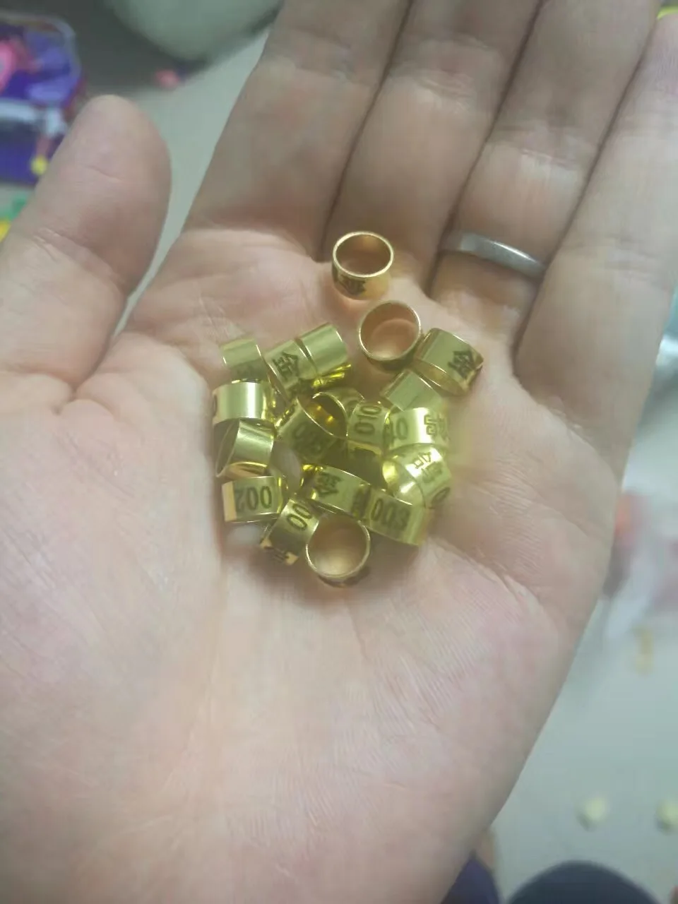 

50Pcs C6 6mm Bird parrot Dove Pigeon Copper Aluminum Leg Rings Custom Aluminum Lettering Rings