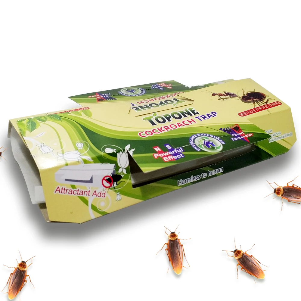 New 2018 Factory Homemade Eco-Friendly Non-toxic Cockroach Trap Pack of 10 pack New 2018 Factory Homemade Eco-Friendly Non-toxic Cockroach Trap Pack of 10 pack