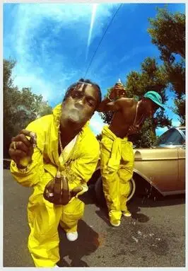 

ASAP Rocky and Tyler The Creator Art Wall Decor Silk Print Poster
