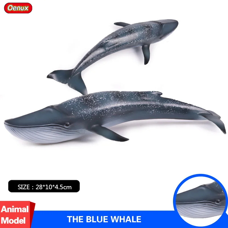 Oenux Морская жизнь Морские животные кит Акула синий кит Кашалот высокое качество фигурка игрушка океан модель животного для ребенка подарок