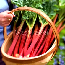 100 Pcs Leaf Beetroot Vegetable Seedss Sweet Easy-growing Heirloom DIY Home Bonsai Pot Balcony NON-GMO Vegetable for Salad