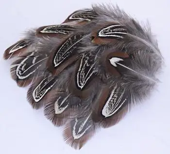 

Free Shipping 100pcs 4-7cm/1.5-3in Natural Real Pheasant DIY Brooch Hair Hoop Clip Earrings Accessories Wholesale