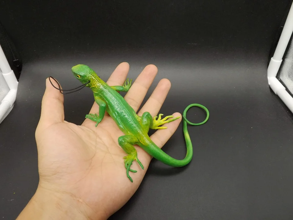 J171-Lizard (4)