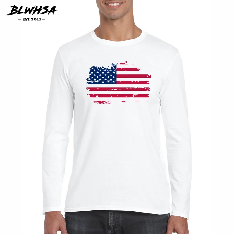 ML001706208 USA logo