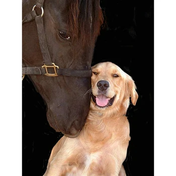 

YIKEE diamond painting the horse and the dog,diamond paiting,full drill diamond painting Y608