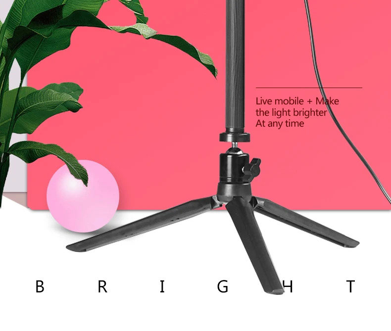 Dimmable LED Studio Camera Ring Light Photo Phone Video Light Annular Lamp With Tripods Selfie Stick Ring Fill Light For Canon - ANKUX Tech Co., Ltd