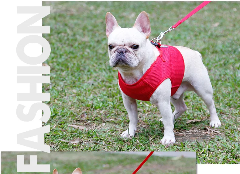 Dog Harness (12)
