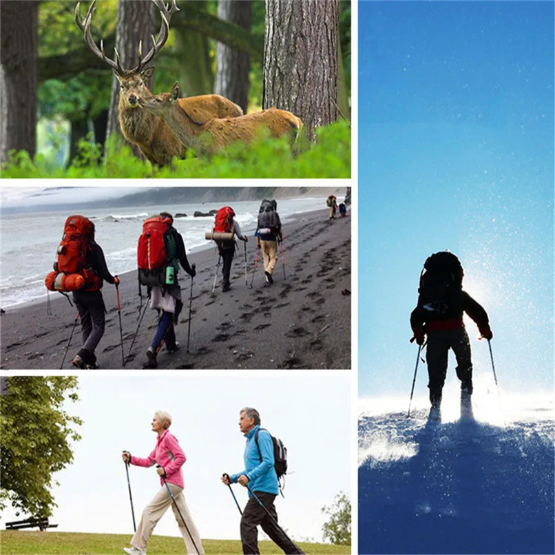Ultralight 4-Section Telescopic Walking Sticks Hiking Stick Trekking Pole Anti Shock Alpenstock Portable Folding Cane # 2o12 (19)