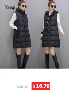dianxiaobao