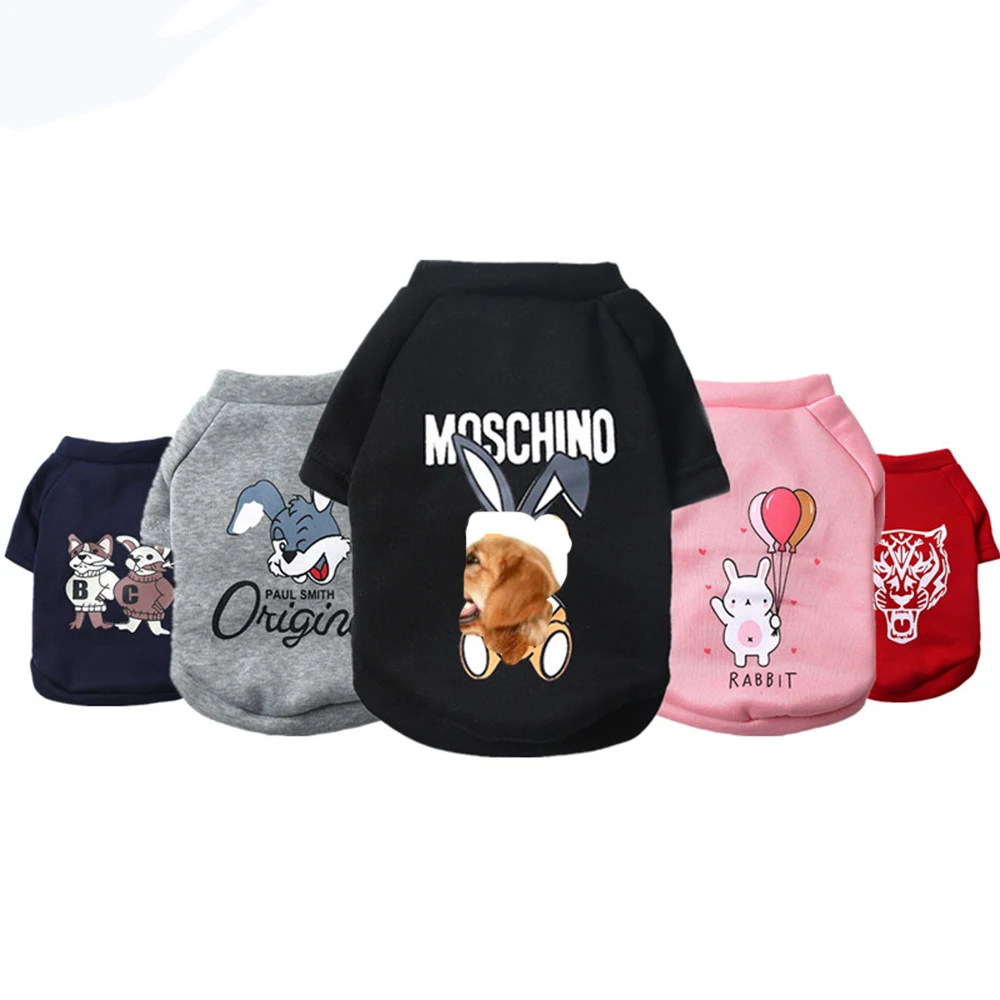 moschino dog jacket