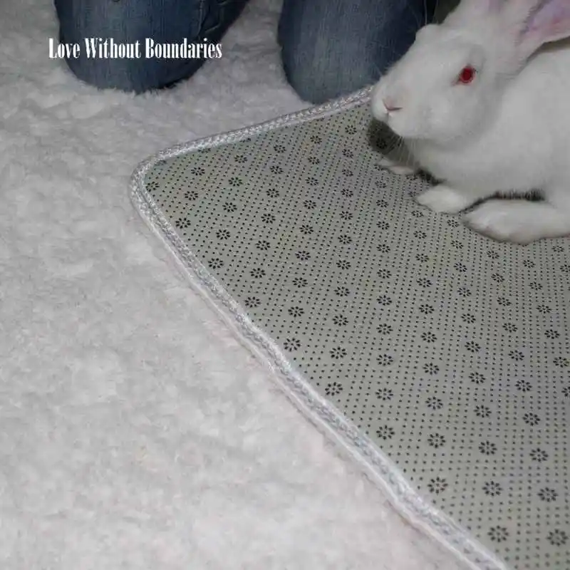 WHITE SNOW CARPET (16)