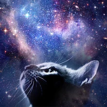 Полиэстер тонкая эластичная ткань высокого качества 3D печать животных на заказ изображения ткань diy Ткань для шитья пэчворк кукольная ткань