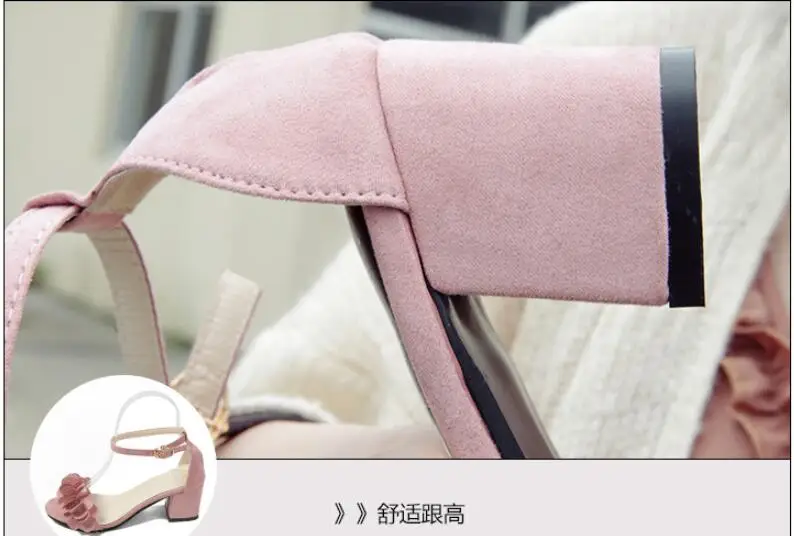 10669066132_446009748_