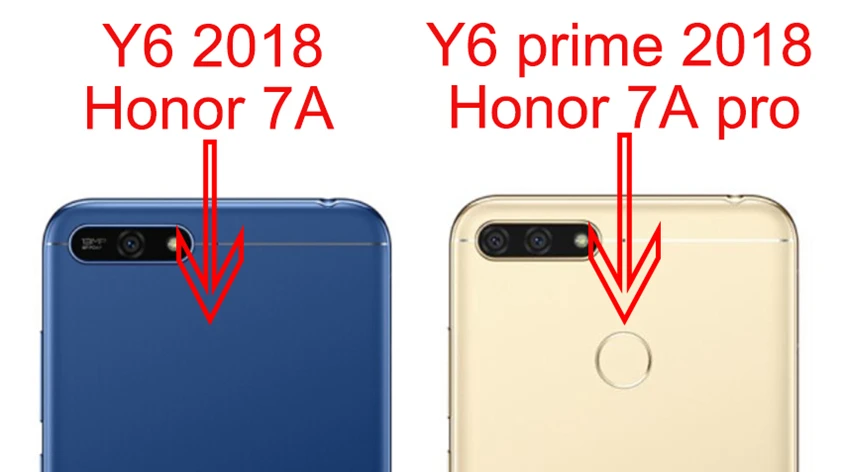 y6 2018