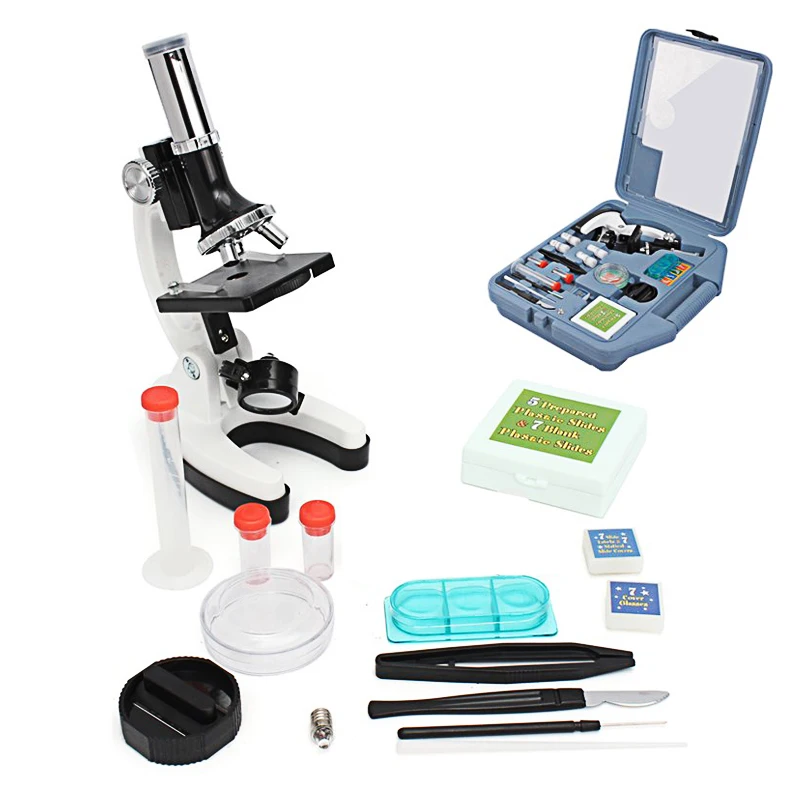 Datyson-900x-102