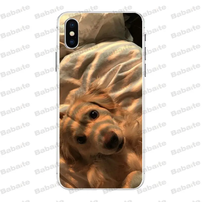 Супермилый чехол для телефона Babaite с золотистым ретривером iPhone X Xs Xr XsMax 6 6s Plus 7 7plus 8