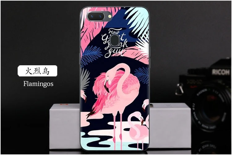  Flamingos