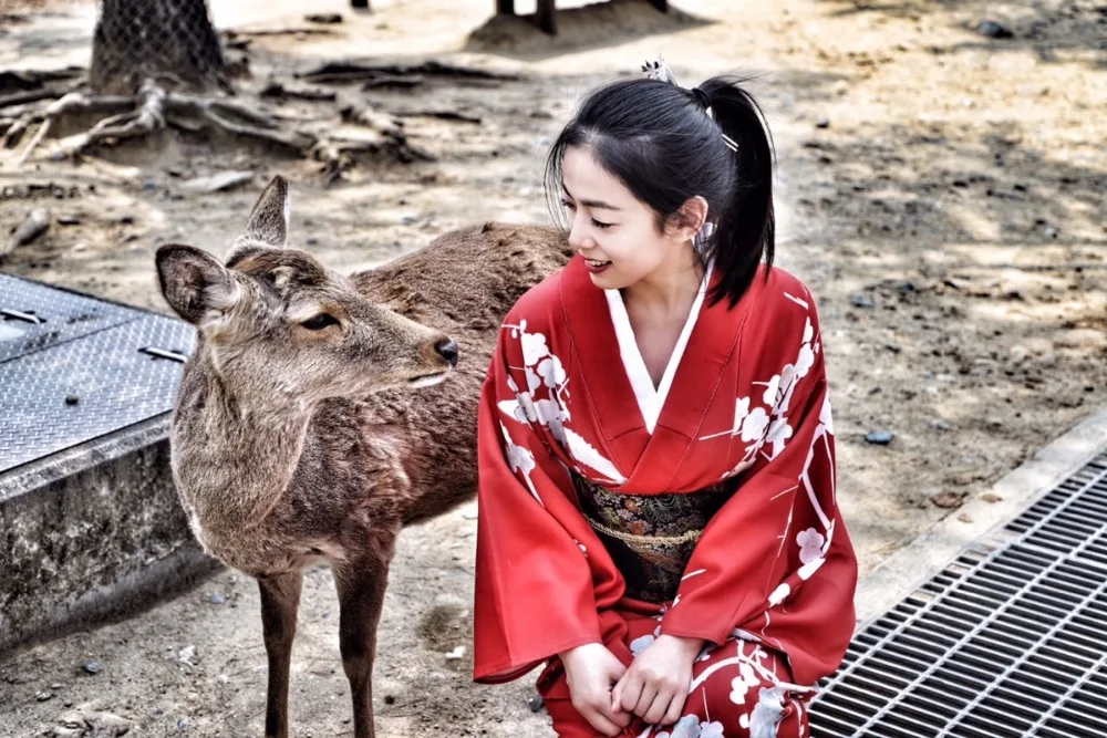 O1CN01hUllMA2IjWditblku_!!0-rate