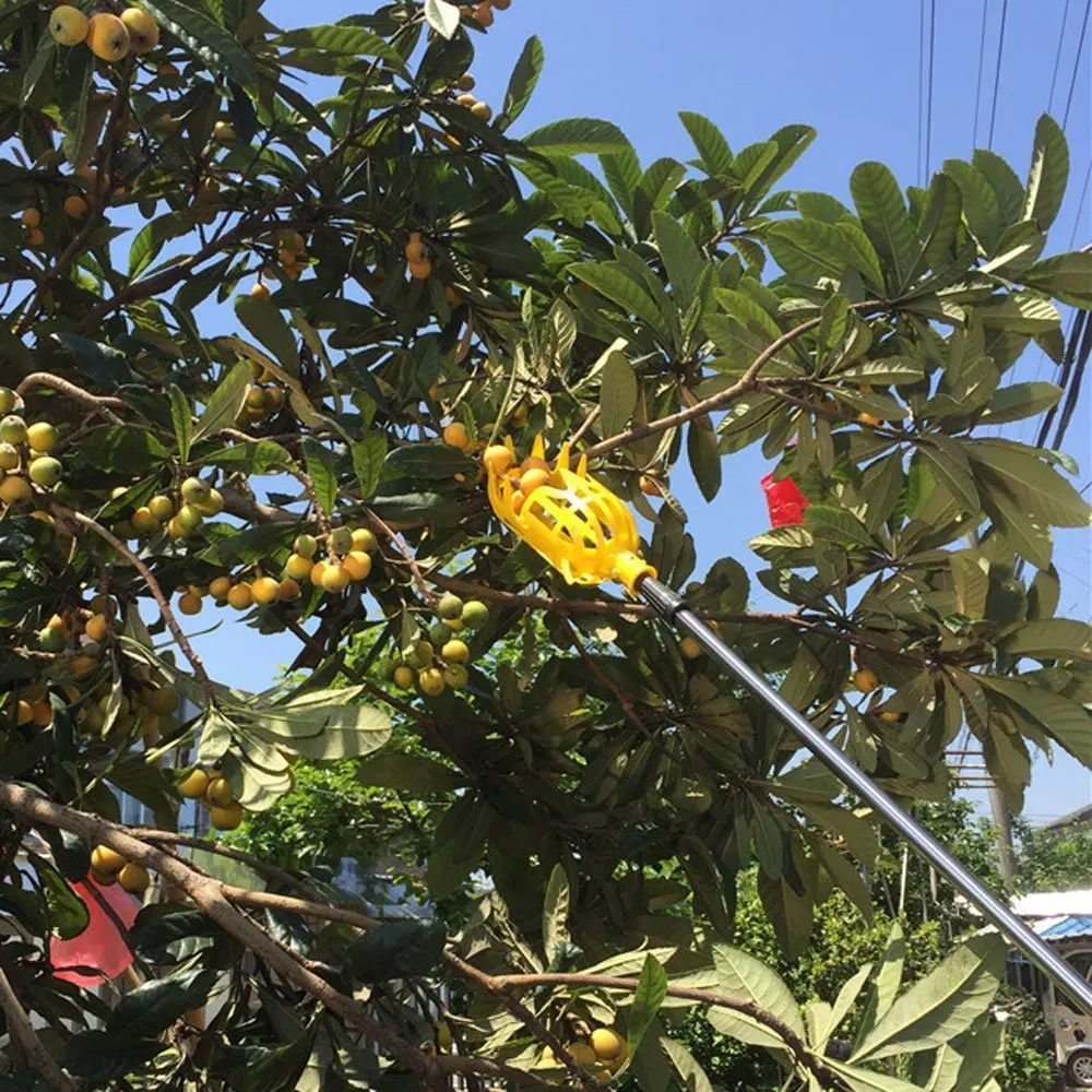 11 MPT Plastic Fruit Picker Without Pole Catcher for Harvest Picking Apple Mango Pear Peach Kiwi Lemon Tree Harvester Tool (Small)