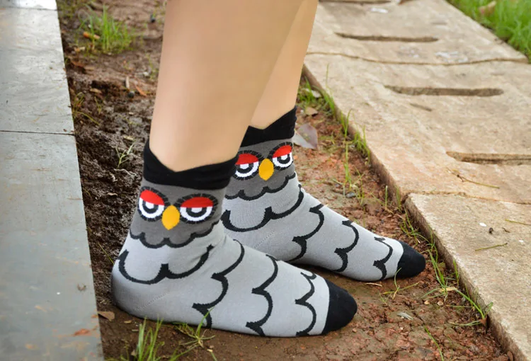 2326135734_520631427