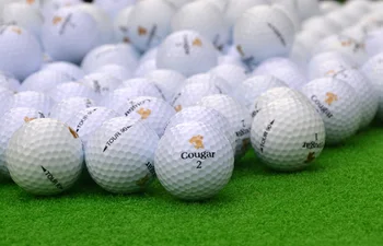 

Wholesale Customized logo High quality Two Layer ball Golf Balls Practice Golf Balls with numbers