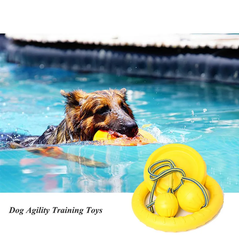 

Dog Toys Floating EVA Ring Flying Disk Ball Puppy Chew Toys Grassland Water Sports Training Toys Attractive Color Pet Supplies