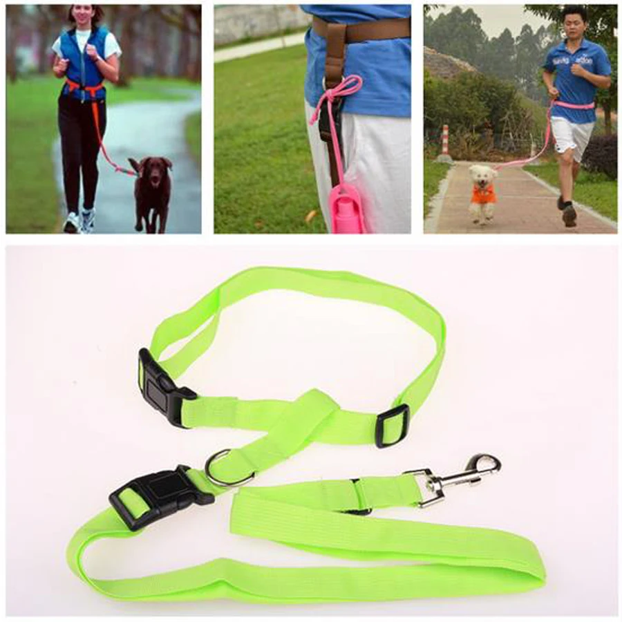 

Pet Dog Traction Rope Running traction drawstring Dog Leash Morning run special traction rope Dual-morning run dog training
