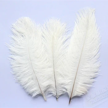 

Wholesale 100pcs/lot 6-8 inch 15-20 cm pink fluffy ostrich feathers Plume Wedding Variety of decorative