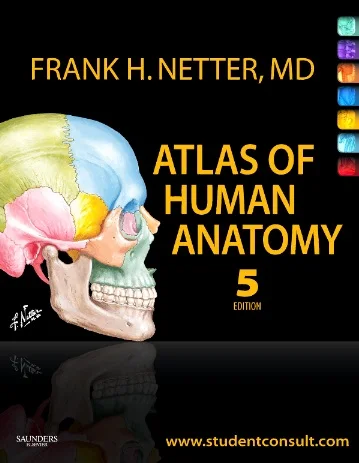 Atlas of human anatomy frank h. Atlas of human anatomy frank h. неттер атлас. атлас анатомии человека фрэнк неттер 7 издание. Human anatomy frank netter.