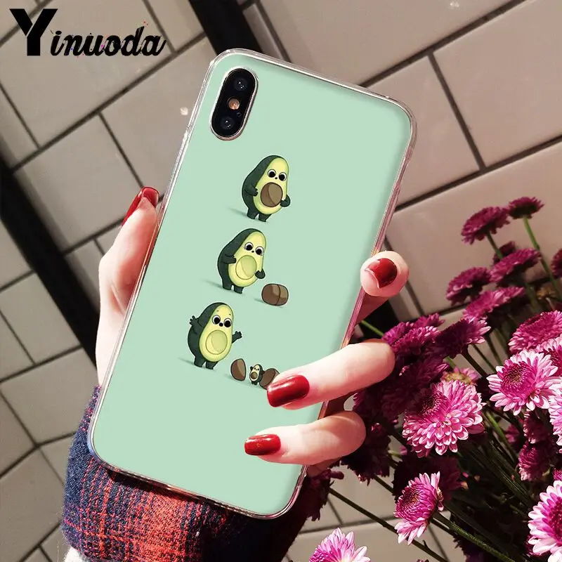 Avocado
