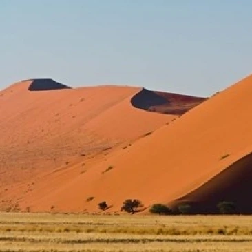 Desert  Sossusvlei  Namib-Nauklift NP  Namibia Poster Print by Ralph H. Bendjebar (17 x 11)