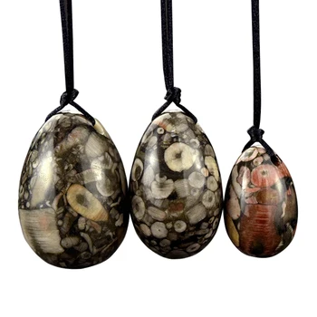 

3 PCS Drilled Natural Crinoid Fossil Jasper Yoni Egg Pelvic Kegel Exercise Vaginal Tightening Balls for Adult