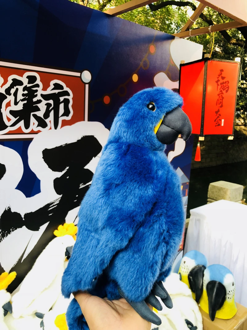 macaw plush