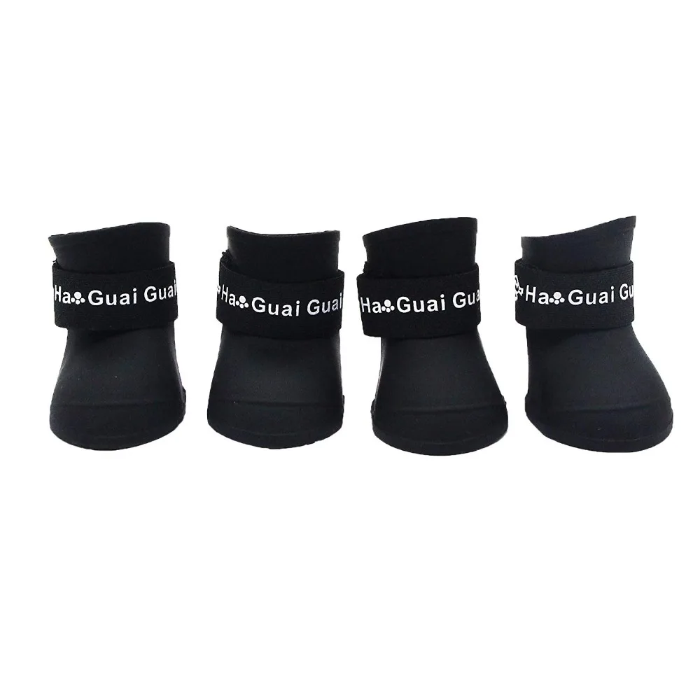 61wtYPy%2BQoL._SL1500_