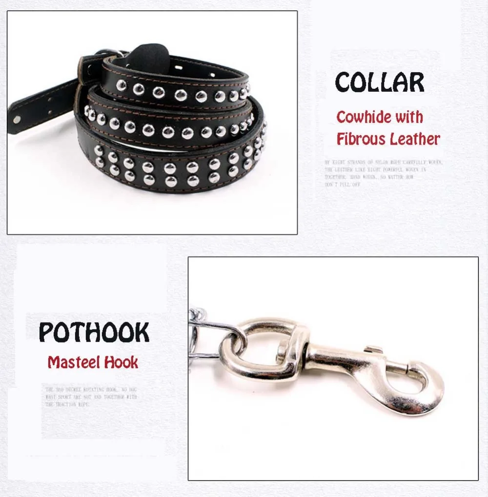 8 Collars, Harnesses & Leads