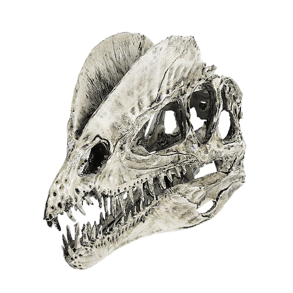 Dinosaur Skull Replica Skeleton Model Aquarium Ornament Antique Yellow