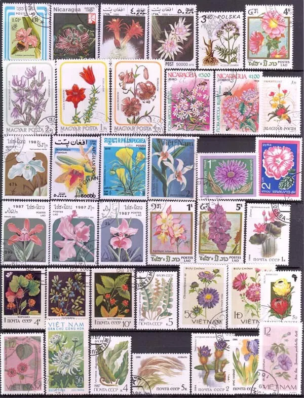 50 шт. почтовые марки в виде цветов без отвода в хорошем состоянии для коллекции по всему миру