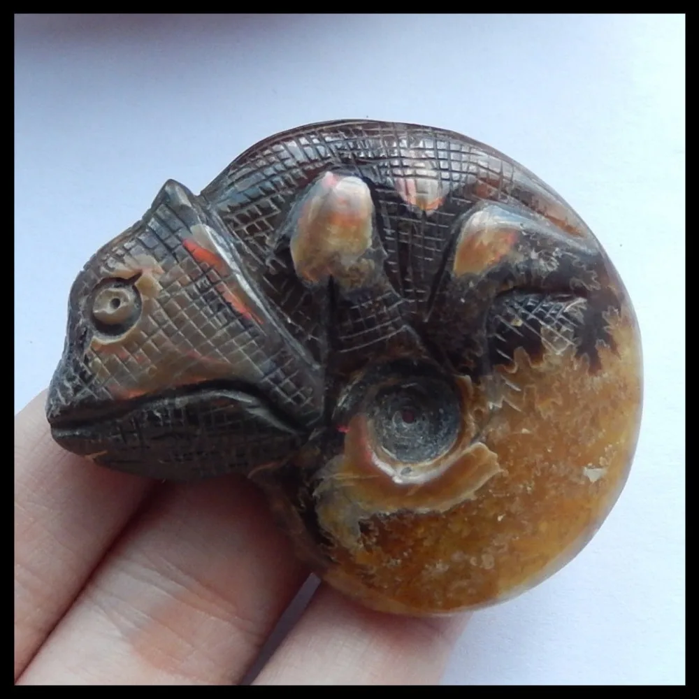 

Natural Carved lizard Ammonite Foss il Cabochon,natural stone Cabochon necklace bead,54x45x16mm,46g