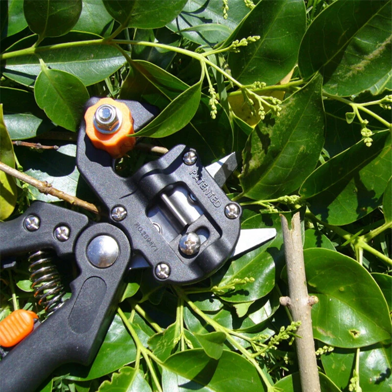 QUK Pruning Shears Pliers Chopper Fruit Tree Grafting Gardening Tools Scissor Grafting Vaccination Secateurs Cutting Tool5
