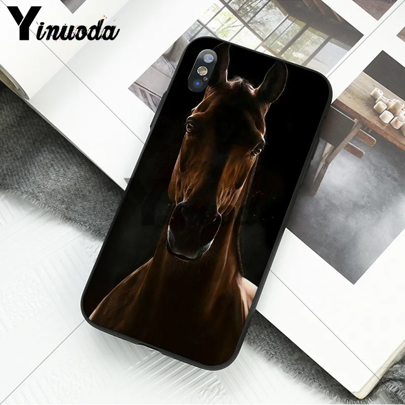 andalusian horse