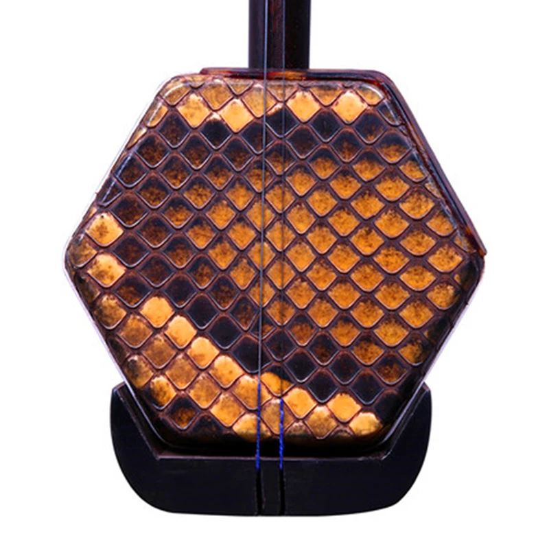 Chinese Erhu Folk String Instrument Huqin Strik Muziek ebony Dragon Head Musical Instruments Professional Music Erhu Accessories