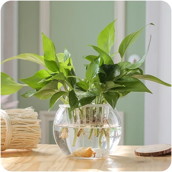 

18pcs/pack Diameter=10cm Middle Size Flat Mouth Glass Terrarium Vase Micro Landscape Ball Shaped Bottle Creative Glass Fish Bowl
