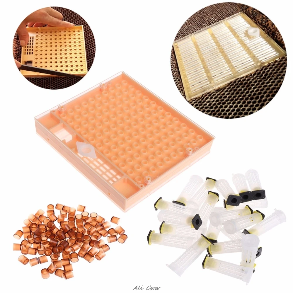 

1 Set Beekeeping Case Bee Queen Multi Holes Box Apiculture Cupkit Cell Tools Cup Bee Queen Rearing System for Beekeeper